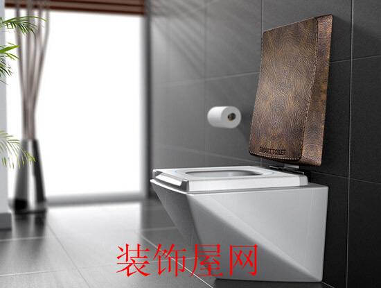 什么是虹吸式马桶